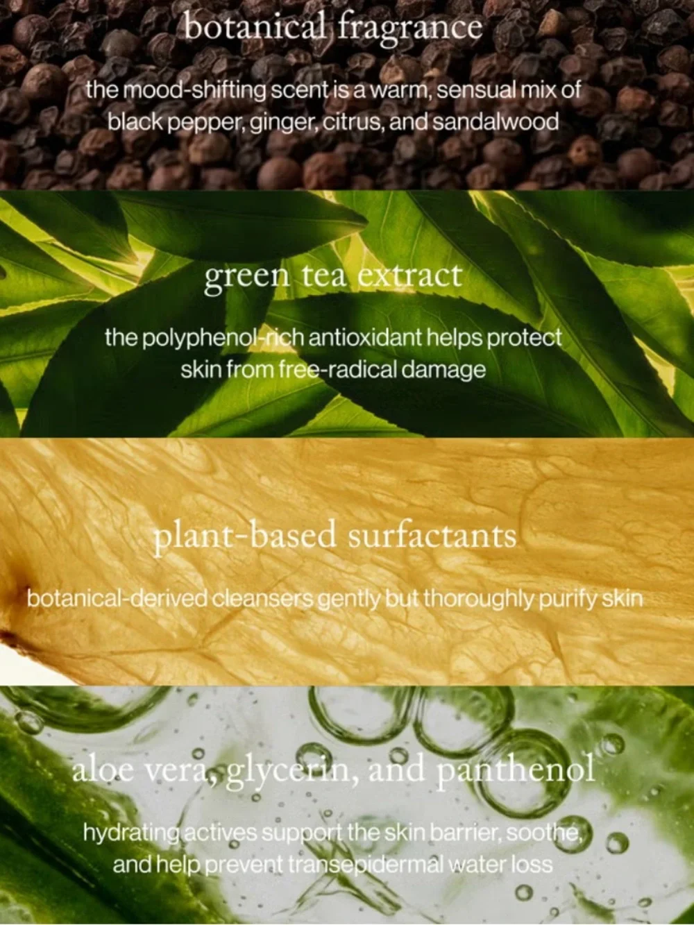 Goop beauty Pepper + Ginger Grounding botanical body wash 11oz new launch